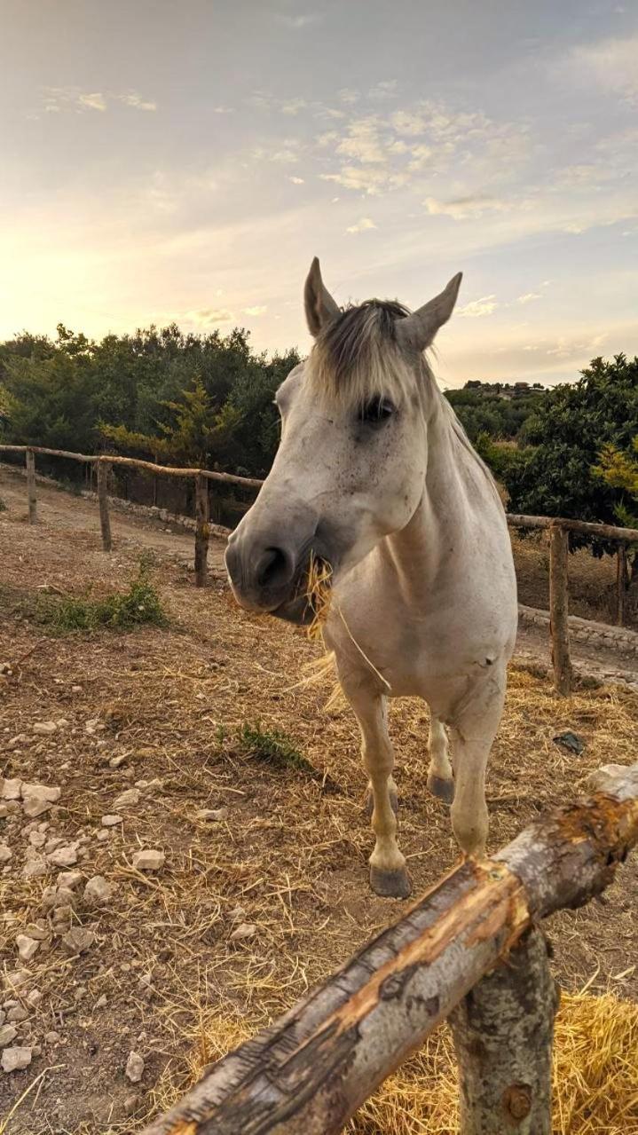 Roba Albanisi Hotell Aragona Exteriör bild